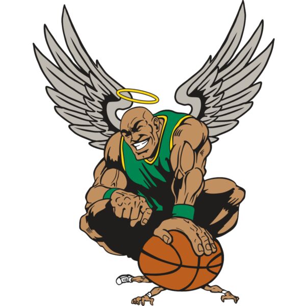 AR17 ANGEL BSKT 03 RQC Thumbnail